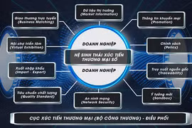 Hơn 200.000 doanh nghiệp sẽ được xúc tiến “thương mại số”