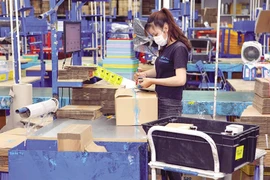 Năm 2025: 50% cơ sở đại học triển khai đào tạo thương mại điện tử 