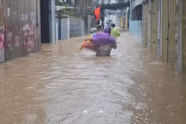 Nhanh chóng khắc phục thiệt hại, khôi phục sản xuất kinh doanh sau mưa lũ ở Nam Trung Bộ