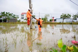 Cấp điện trở lại cho gần 96% khách hàng miền Trung - Tây Nguyên 