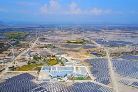 Xử lý dứt điểm kiến nghị của Công ty trách nhiệm hữu hạn Điện mặt trời Trung Nam – Thuận Nam
