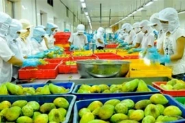 EU ra quy định mới về dư lượng arsen, hoạt chất isoxaben, novaluron... áp dụng trên nông sản, thực phẩm