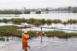 Sau bão Noru, hơn 80% khách hàng được cấp điện trở lại, Quảng Nam còn nhiều vùng mất điện