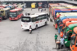 Hà Nội yêu cầu kiểm tra giá thịt lợn, cước dịch vụ vận tải