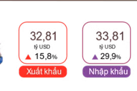 Nhập siêu bất ngờ quay lại mức 1 tỷ USD