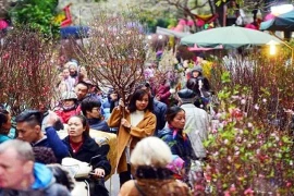 Hà Nội tổ chức 91 điểm chợ hoa Xuân phục vụ Tết Nguyên đán Quý Mão 2023