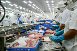 Xuất khẩu sang EU: Có thể thu về gấp 8 lần giá trị nếu sản xuất bền vững