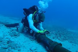 Hai tuyến cáp quang gặp sự cố cùng lúc