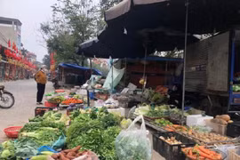 Ngày mùng 5 Tết: Rau xanh, thực phẩm “hạ nhiệt”