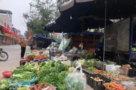 Ngày mùng 5 Tết: Rau xanh, thực phẩm “hạ nhiệt”