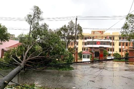 Bão số 9: 7.500 trạm biến áp tại các tỉnh miền Trung bị mất điện 