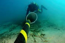 Cáp quang biển bị đứt liên tục, người tiêu dùng có được giảm tiền thuê bao?