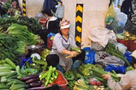 Hà Nội: Tăng tốc xã hội hóa đầu tư phát triển, kinh doanh chợ, trung tâm thương mại