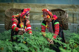 Sắp diễn ra Ngày hội sản phẩm vùng đồng bào dân tộc thiểu số và miền núi phía Bắc