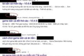 Gần 170 website trường đại học lớn, cơ sở giáo dục tại Việt Nam bị cài nội dung liên quan cá độ, cờ bạc