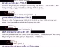 Gần 170 website trường đại học lớn, cơ sở giáo dục tại Việt Nam bị cài nội dung liên quan cá độ, cờ bạc