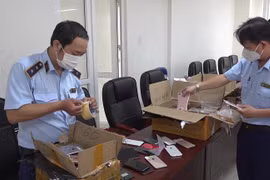 Hơn 500 chiếc iPhone cũ vô chủ trên tàu SE4