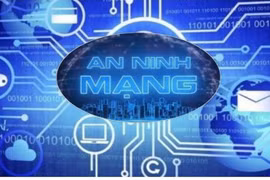 Xâm hại tác quyền trên không gian mạng gia tăng