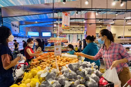 Tăng giá điện và giá xăng dầu đẩy CPI bình quân 6 tháng đầu năm tăng 3,27% 