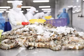 Xuất khẩu tôm sang Mỹ đối mặt nhiều áp lực