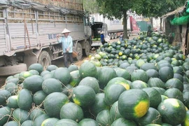 Tránh thối hỏng, ùn ứ, sẽ tăng xuất khẩu nông sản qua hàng không, đường sắt