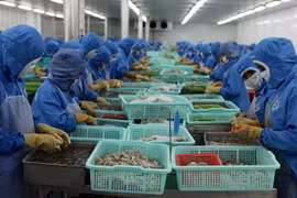 Tín dụng "đen" quấy nhiễu, đe dọa lãnh đạo doanh nghiệp thủy sản