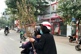 Đào Tết giá rẻ vẫn thưa vắng người mua