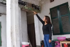 Phạt đến 30 triệu đồng chủ nhà trọ thu tiền điện cao hơn giá quy định