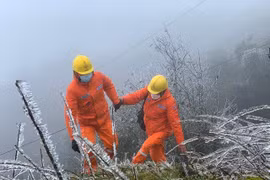 Cán bộ ngành điện "đầm mình" làm nhiệm vụ giữa băng giá khắc nghiệt