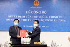 Thứ trưởng Nguyễn Sinh Nhật Tân phụ trách lĩnh vực gì ở Bộ Công Thương?