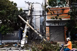 Tạm đình chỉ công tác Giám đốc điện lực thành phố Hạ Long 