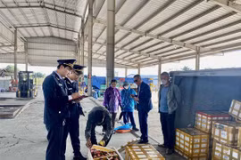  Hàng nông sản Việt Nam xuất khẩu sang Trung Quốc qua cửa khẩu đạt hàng trăm triệu USD trong dịp Tết