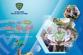 Hơn 90% các sản phẩm sâm Ngọc Linh bán trên thị trường không rõ nguồn gốc, xuất xứ 