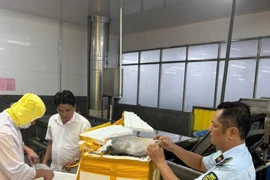 Phát hiện lượng lớn tôm chứa tạp chất đang lưu thông trên thị trường