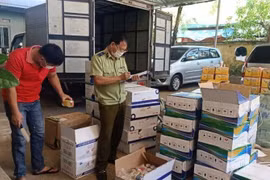 Phối hợp ngăn chặn, xử lý phân bón, thuốc bảo vệ thực vật kém chất lượng