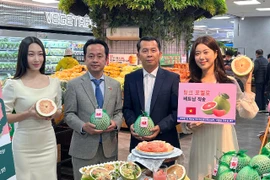 Quả bưởi Việt Nam được bán tại Lotte Mart Hàn Quốc, giá gần 65.000 đồng/kg