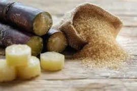 Áp dụng biện pháp chống lẩn tránh với đường mía nhập khẩu