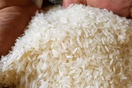 Indonesia cần thêm 1,5 triệu tấn gạo dự trữ quốc gia trong năm 2023