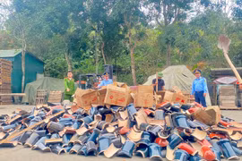 Phạt 90 triệu đồng, buộc tiêu hủy 11.120 viên ngói giả mạo nhãn hiệu Viglacera, Prime