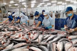 Thủy sản Việt Nam lần đầu giữ vị trí top 3 xuất khẩu lớn nhất vào Singapore
