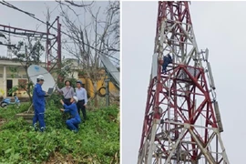 VNPT triển khai gói hỗ trợ khắc phục hậu quả cơn bão số 3 trị giá 50 tỷ đồng 