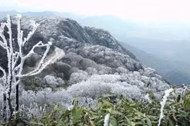 Thời tiết từ nay tới đầu năm 2026 diễn biến ra sao?