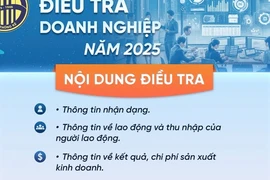 Từ hôm nay (1-4), tiến hành điều tra doanh nghiệp năm 2025 trên cả nước