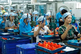 Doanh nghiệp tư nhân được hỗ trợ gì theo đề xuất mới của Bộ Kế hoạch và Đầu tư?