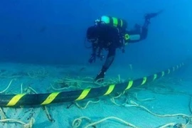 Cáp biển AAE-1 gặp sự cố