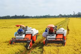 Lo gạo không xuất khẩu được, Bộ Công Thương kiến nghị mở “luồng xanh” cho vận tải đường thủy