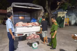 Ngăn chặn kịp thời gần 1,4 tấn thịt lợn ôi thiu đang trên đường tiêu thụ