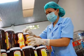 Mật ong Việt Nam bị điều tra chống bán phá giá tại Hoa Kỳ