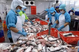 Chuyên gia: “Nên làm lại dự thảo Nghị định hướng dẫn Luật Bảo vệ môi trường”