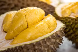 Xuất khẩu sang Trung Quốc có thể cải thiện từ quý II tới